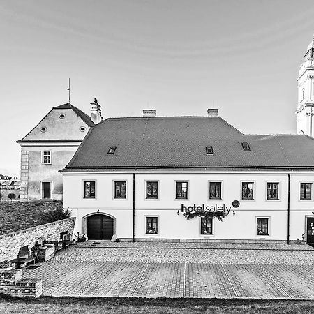 Hotel Salety Valtice Exterior photo